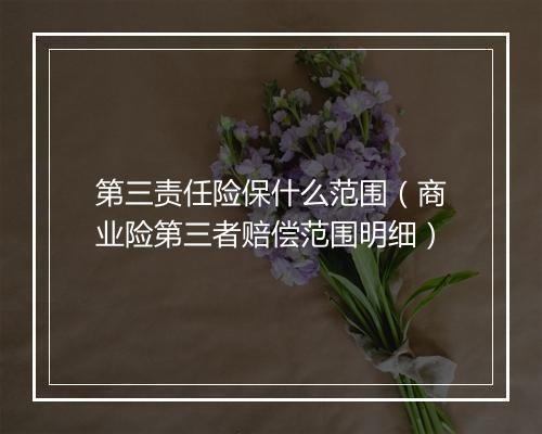 第三责任险保什么范围（商业险第三者赔偿范围明细）