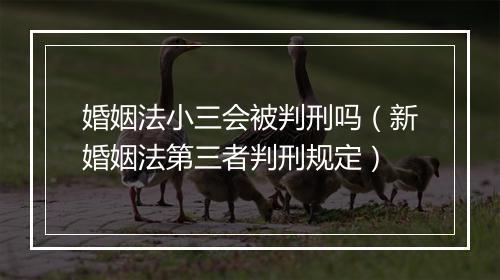 婚姻法小三会被判刑吗（新婚姻法第三者判刑规定）
