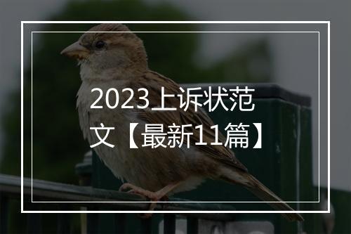2023上诉状范文【最新11篇】