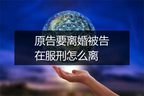 原告要离婚被告在服刑怎么离