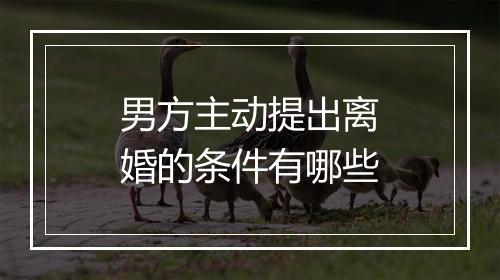 男方主动提出离婚的条件有哪些