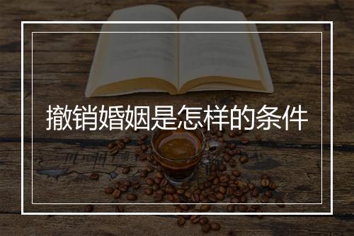 撤销婚姻是怎样的条件