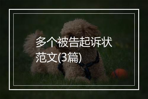 多个被告起诉状范文(3篇)