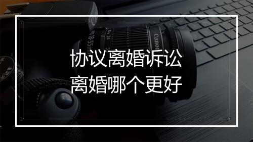 协议离婚诉讼离婚哪个更好