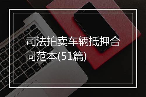 司法拍卖车辆抵押合同范本(51篇)