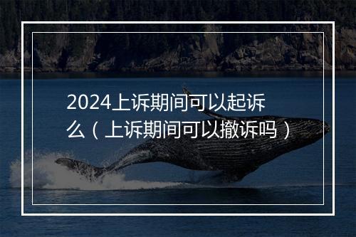 2024上诉期间可以起诉么（上诉期间可以撤诉吗）
