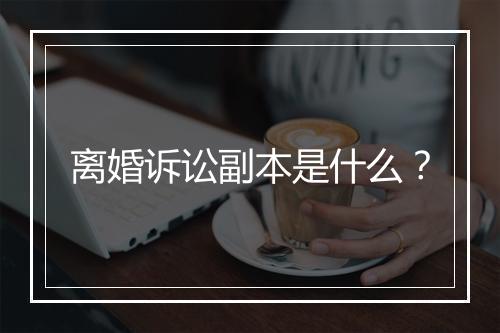 离婚诉讼副本是什么？