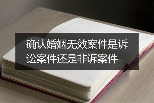 确认婚姻无效案件是诉讼案件还是非诉案件