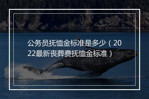 公务员抚恤金标准是多少（2022最新丧葬费抚恤金标准）