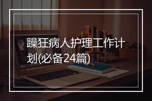 躁狂病人护理工作计划(必备24篇)