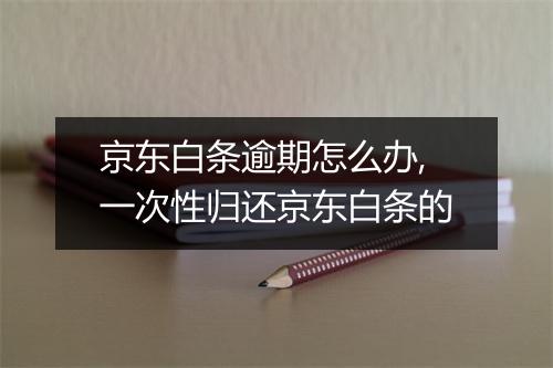 京东白条逾期怎么办,一次性归还京东白条的