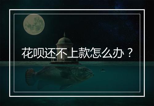 花呗还不上款怎么办？