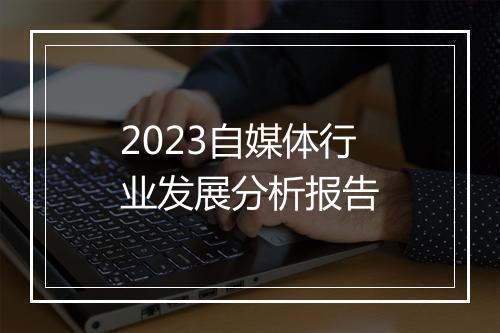 2023自媒体行业发展分析报告