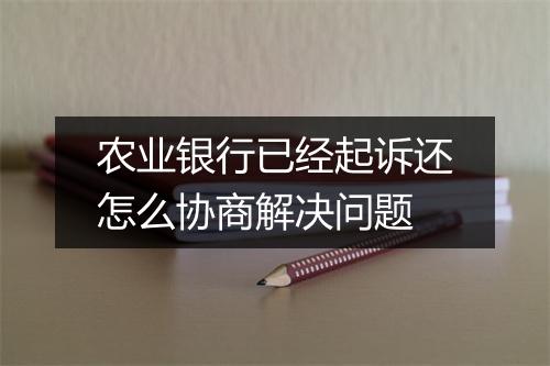 农业银行已经起诉还怎么协商解决问题
