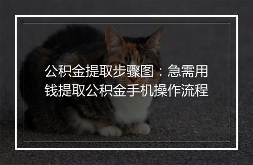 公积金提取步骤图：急需用钱提取公积金手机操作流程