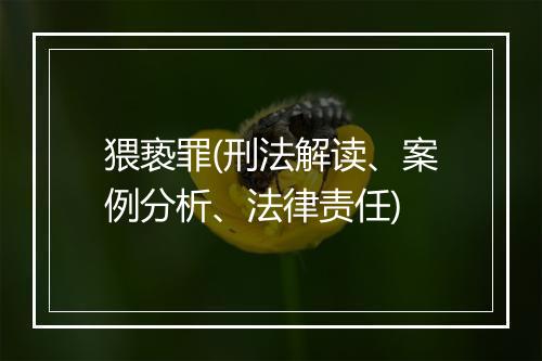 猥亵罪(刑法解读、案例分析、法律责任)