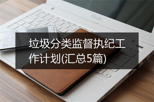 垃圾分类监督执纪工作计划(汇总5篇)