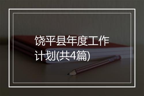 饶平县年度工作计划(共4篇)