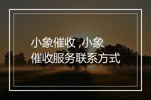 小象催收 ,小象催收服务联系方式