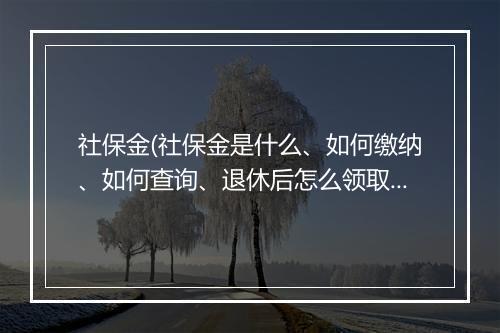 社保金(社保金是什么、如何缴纳、如何查询、退休后怎么领取)