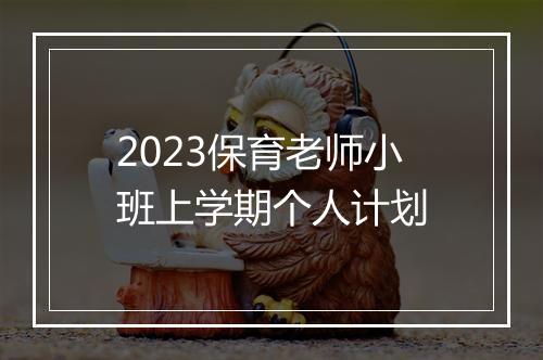 2023保育老师小班上学期个人计划