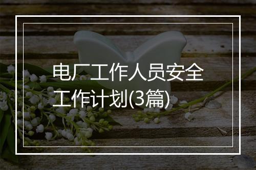 电厂工作人员安全工作计划(3篇)