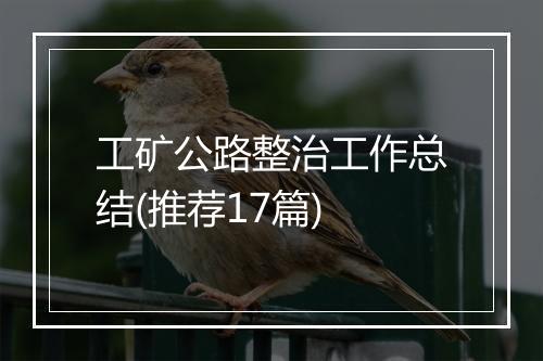 工矿公路整治工作总结(推荐17篇)