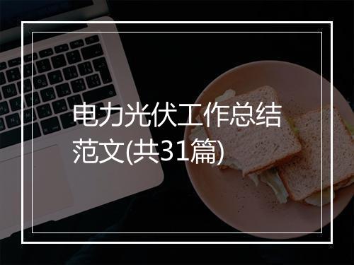 电力光伏工作总结范文(共31篇)
