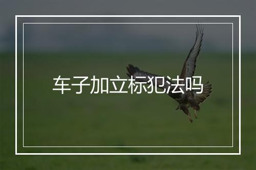 车子加立标犯法吗