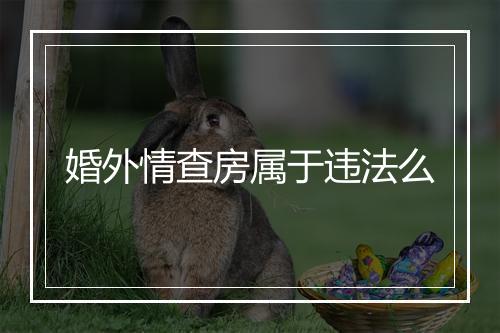 婚外情查房属于违法么