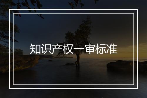 知识产权一审标准