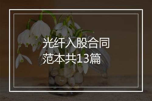 光纤入股合同范本共13篇