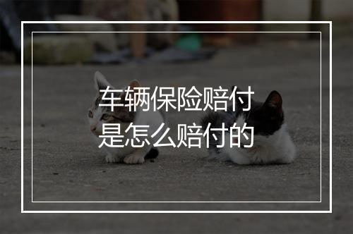 车辆保险赔付是怎么赔付的