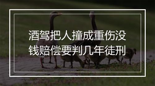 酒驾把人撞成重伤没钱赔偿要判几年徒刑