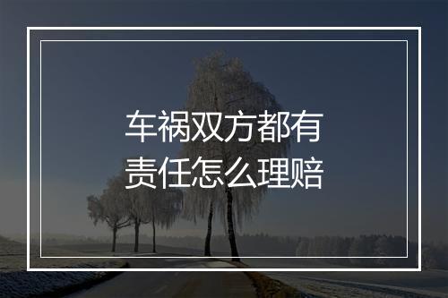 车祸双方都有责任怎么理赔
