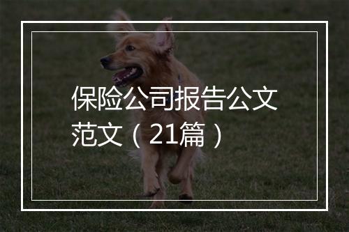 保险公司报告公文范文（21篇）
