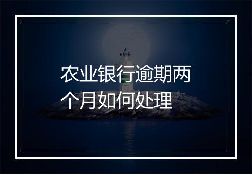 农业银行逾期两个月如何处理