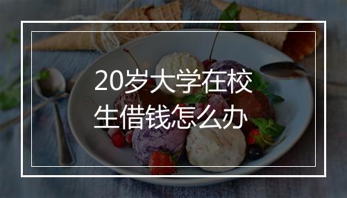 20岁大学在校生借钱怎么办