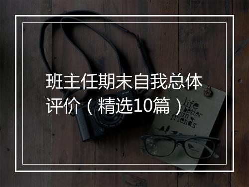 班主任期末自我总体评价（精选10篇）