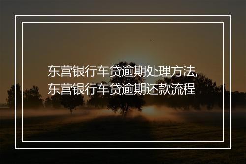 东营银行车贷逾期处理方法,东营银行车贷逾期还款流程