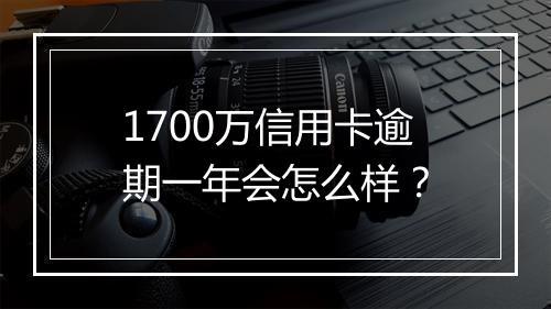 1700万信用卡逾期一年会怎么样？