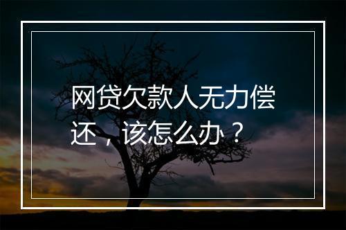 网贷欠款人无力偿还，该怎么办？
