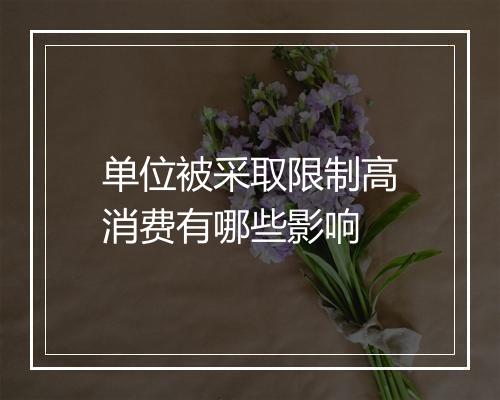 单位被采取限制高消费有哪些影响
