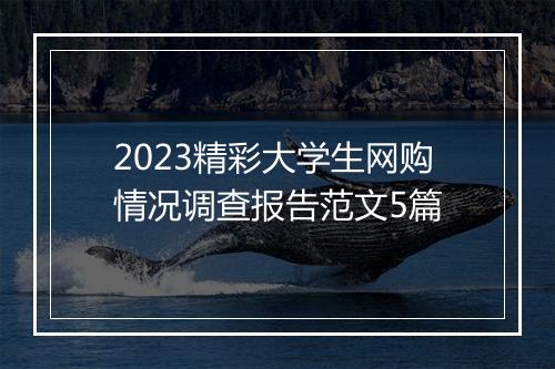 2023精彩大学生网购情况调查报告范文5篇