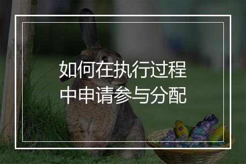 如何在执行过程中申请参与分配