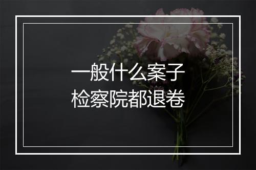 一般什么案子检察院都退卷