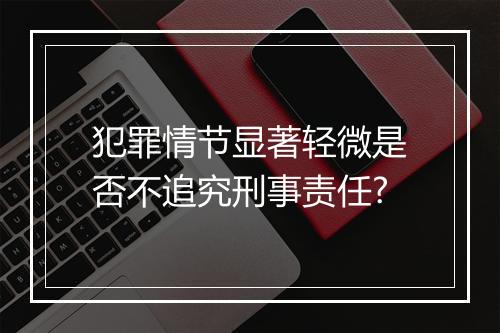 犯罪情节显著轻微是否不追究刑事责任?