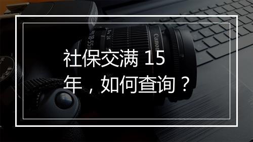 社保交满 15 年，如何查询？