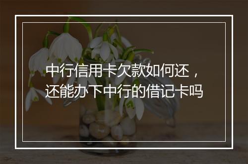 中行信用卡欠款如何还，还能办下中行的借记卡吗