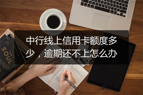 中行线上信用卡额度多少，逾期还不上怎么办